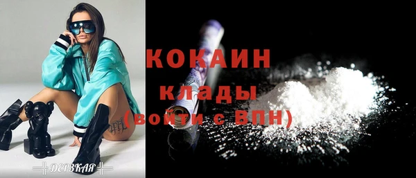 прущие грибы Корсаков