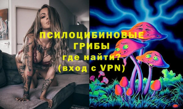 прущие крисы Кемь