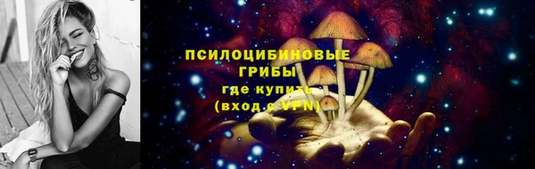 СК Кизел