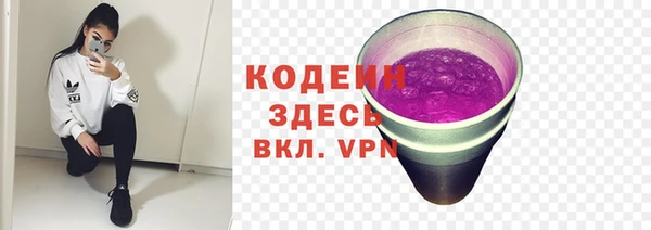 прущие грибы Корсаков