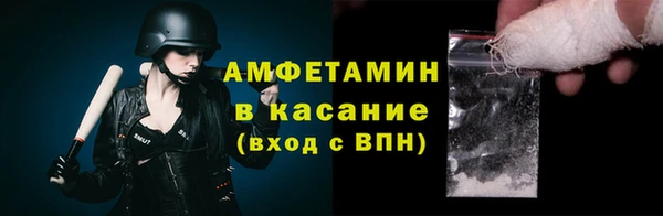 прущие грибы Корсаков